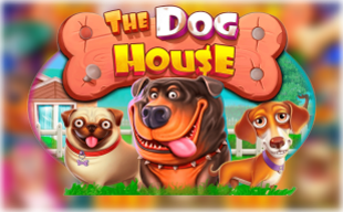 Dog House